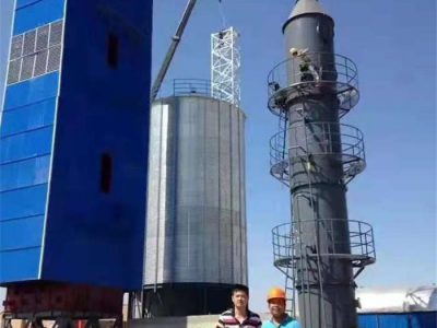 中儲糧鍋爐除塵脫硫一體化